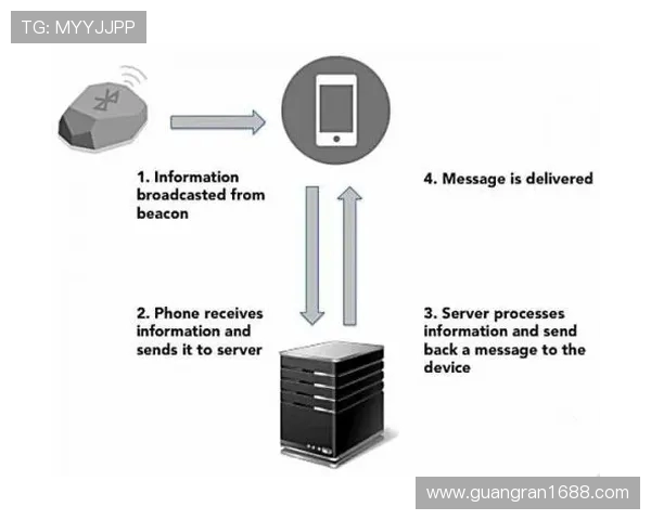 智能健身器材真的有用吗?多维数据分析与用户反馈 智能健身器材真的有用吗?多维数据分析与用户反馈
