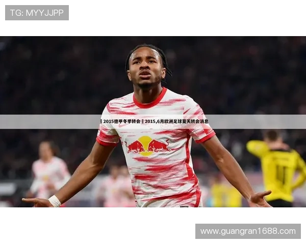 莱茵河畔的德甲球队名单及地理分布