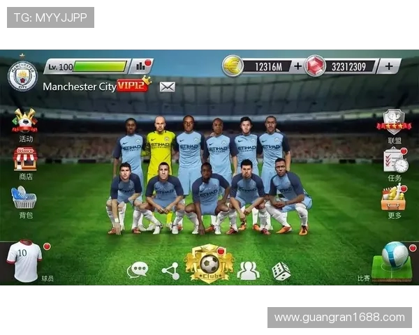 关于购买英超足球队题材小说推荐及精彩情节介绍